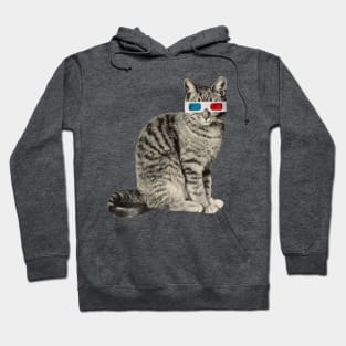 3D Cat Hoodie